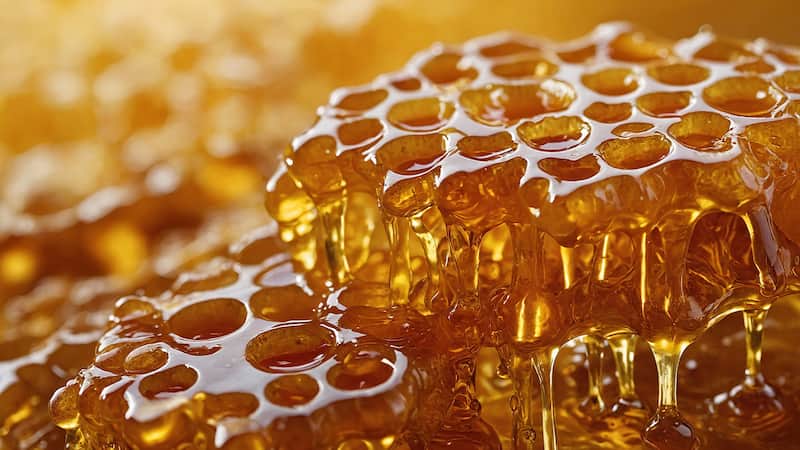 تصویر 4 از عسل سبلان مشگین شهر با کیفیت ویژه و ترکیب گیاهی ارزشمند